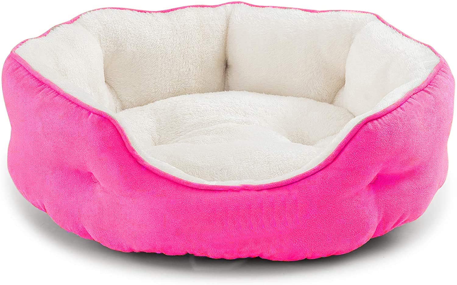 dog beds clearance